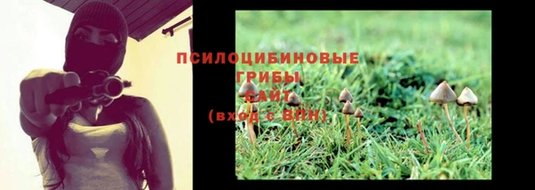 мет Арсеньев