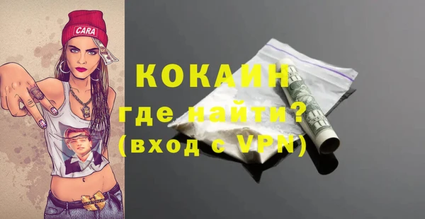 мет Арсеньев