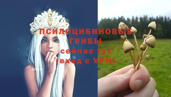 мет Арсеньев