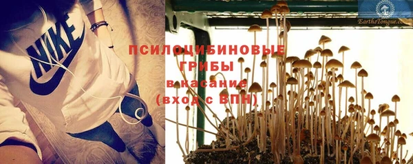 прущая мука Армянск