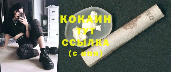 крисы Аркадак