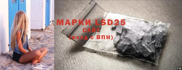 крисы Аркадак