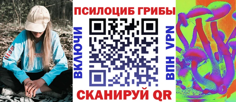 Псилоцибиновые грибы мицелий  наркошоп  Сасово 