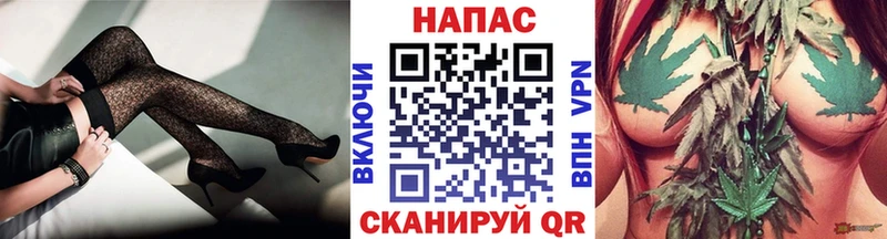 Конопля SATIVA & INDICA  кракен как зайти  Сасово 